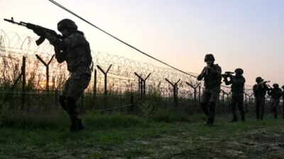 Jammu And Kashmir: Jammu & Kashmir: Landmine found along LoC in Poonch, destroyed | India News