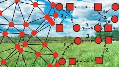 Scientists build a tiny wireless device that records animal brains in the wild; it is lighter than a US dime |